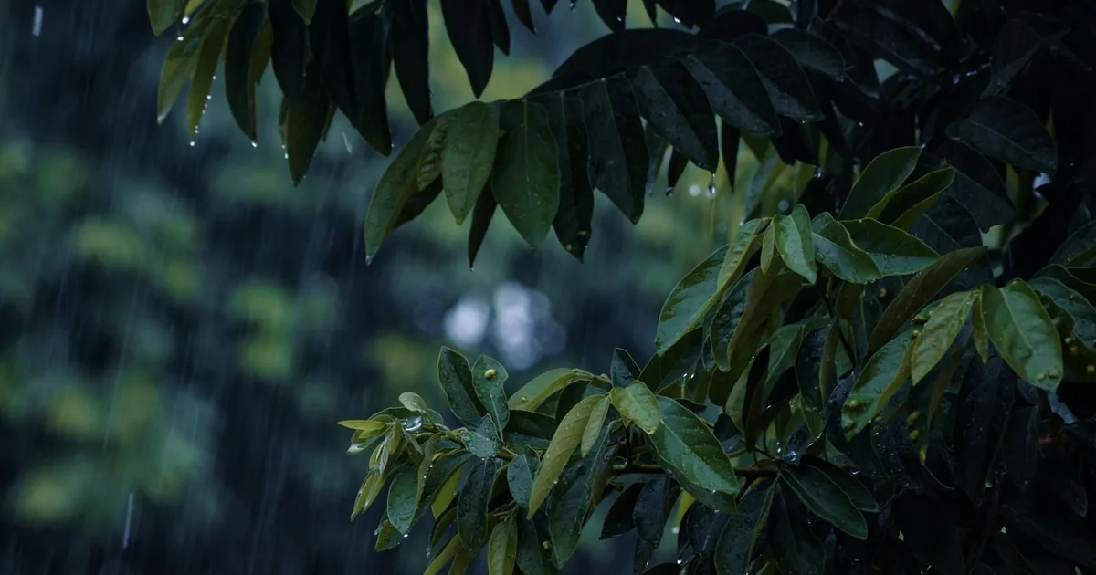 বারবার গর্ভপাতের কারণে দাম্পত্য সম্পর্কে ফাটল ও মানসিক যন্ত্রণা